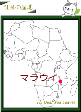 地図マラウイ
